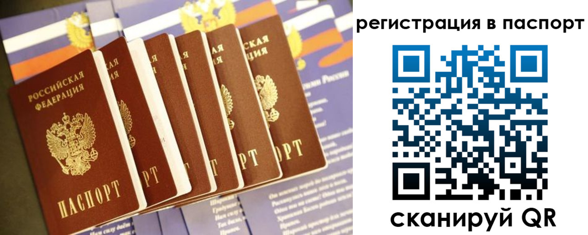 прописка ребенка в Кировске